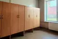 Manufacture 3 526 m² in Dubrovienski sielski Saviet, Belarus