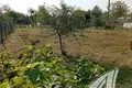 Land  Zabinkauski sielski Saviet, Belarus