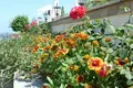 Apartment  Sozopol, Bulgaria