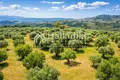 Parcelas 9 312 m² Agios Nikolaos, Grecia