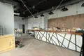 Commercial property 217 m² in City of Zagreb, Croatia