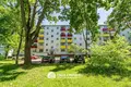 1 bedroom apartment 29 m² Minsk, Belarus
