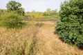 Land 1 room 3 902 m² Otwock, Poland