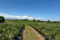 Parcelas  Zugdidi, Georgia