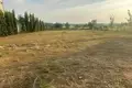 Land  Pong, Thailand