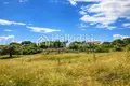 Земельные участки 8 000 м² Неа Рода, Греция