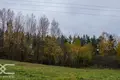Cottage 136 m² Tarasava, Belarus