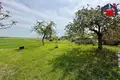 Дом 48 м² Весейский сельский Совет, Беларусь
