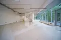 Коммерческое помещение 2 комнаты 184 м² в Минске, Беларусь