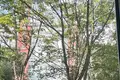 Квартира 3 комнаты 58 м² в Минске, Беларусь