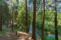 Commercial property 374 m² in Vyhanicy, Belarus