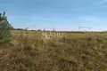 Land 59 000 m² Tepelevo, Russia