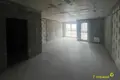Wohnung 1 zimmer 46 m² Minsk, Belarus