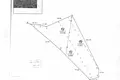 Commercial 1 049 m² in Perebrodskiy selskiy Sovet, Belarus
