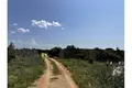 Земельные участки 48 000 м² Municipality of Kolan, Хорватия