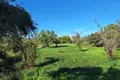 Land 1 room  Municipality of Northern Corfu, Greece