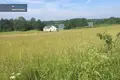 Działki  Żydziszki, Litwa