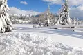 4 bedroom Villa 158 m² Zabljak, Montenegro