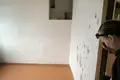 Dom 107 m² Petryków, Białoruś