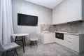 1 room apartment 26 m² Minsk, Belarus