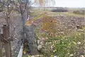 Grundstück  Vidamlianski sielski Saviet, Belarus