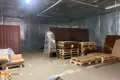 Производство 90 м² в Острошицы, Беларусь