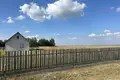 House 55 m² Paplavy, Belarus