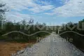 Land 2 700 m² Nea Flogita, Greece