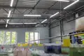 Oficina 11 habitaciones 903 m² en Lahojsk, Belarús