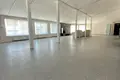 Manufacture 7 rooms 228 m² in Papiarnianski sielski Saviet, Belarus