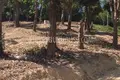 Земельные участки  Ви Чит, Таиланд