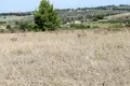 Działki 1 pokój  Kassandra Municipality, Grecja