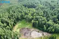 Land  Labanoras, Lithuania