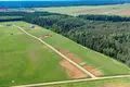 Land  Naujasis Tarpupis, Lithuania