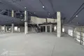 Büro 10 zimmer 100 m² in Zdanovicki sielski Saviet, Belarus