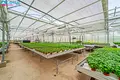 Commercial property 960 m² in Luknes, Lithuania