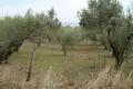 Atterrir 1 chambre  Leptokarya, Grèce