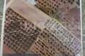 Land 5 000 m² Paralia Dionisiou, Greece