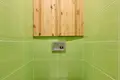 Mieszkanie 2 pokoi 50 m² Zasław, Białoruś