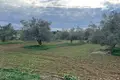 Land  Dipkarpaz, Northern Cyprus
