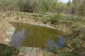 Дом 2 спальни 99 м² Колодежский сельский Совет, Беларусь