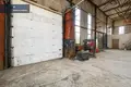 Gewerbefläche 1 135 m² in Hannusburg, Litauen