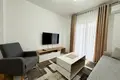 One Bedroom Apartment ZABJELO