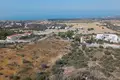 Restaurant  in Kouklia, Cyprus