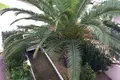 4 room apartment 50 m² Terni, Italy