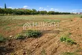 Działki 8 866 m² Kalyves Polygyrou, Grecja