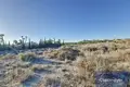 Grundstück 19 618 m² Mutxamel, Spanien