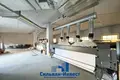 Warehouse 395 m² in Minsk, Belarus