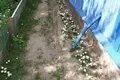 House 50 m² in Mogilev District, Belarus