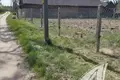Haus 40 m² Damacauski sielski Saviet, Belarus